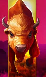 Big Wild Buffalo